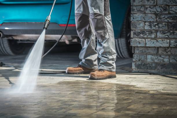 Best Building Exterior Washing  in Caryville, TN