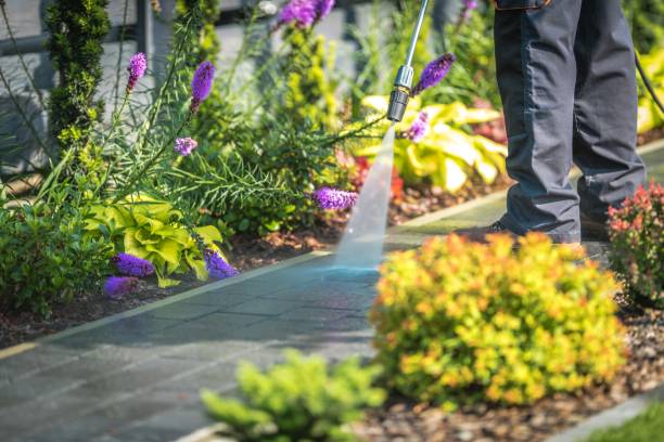 Best Post-Construction Pressure Washing  in Caryville, TN