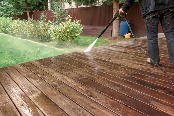 Best Roof Washing  in Caryville, TN