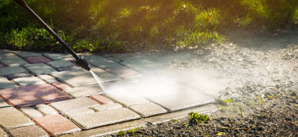 Best Spring Cleaning  in Caryville, TN