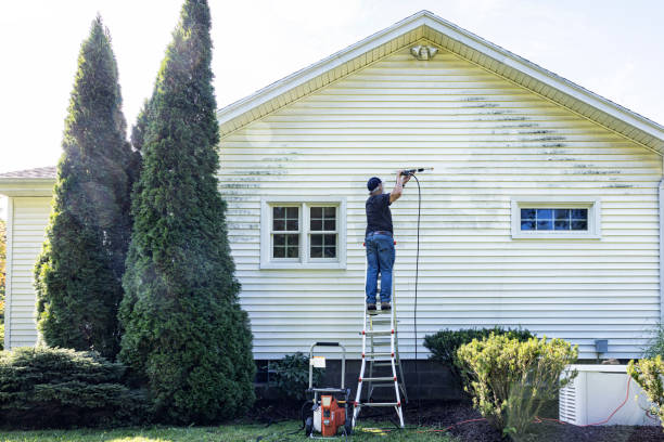 Best Rust Removal  in Caryville, TN