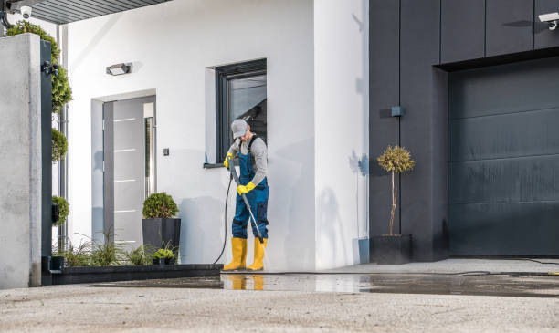 Best Gutter Cleaning  in Caryville, TN